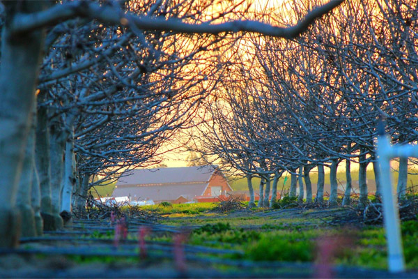 网站攻击软件工具