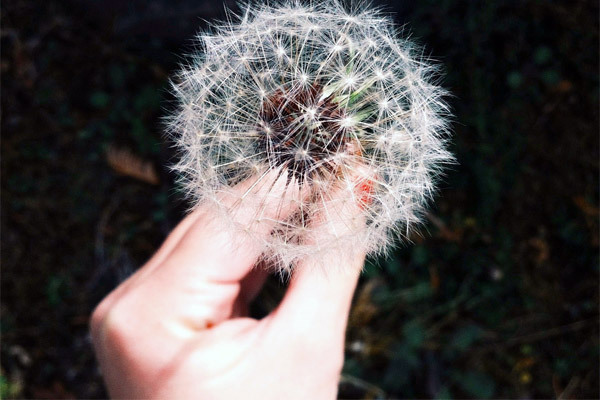 网页攻击器教程