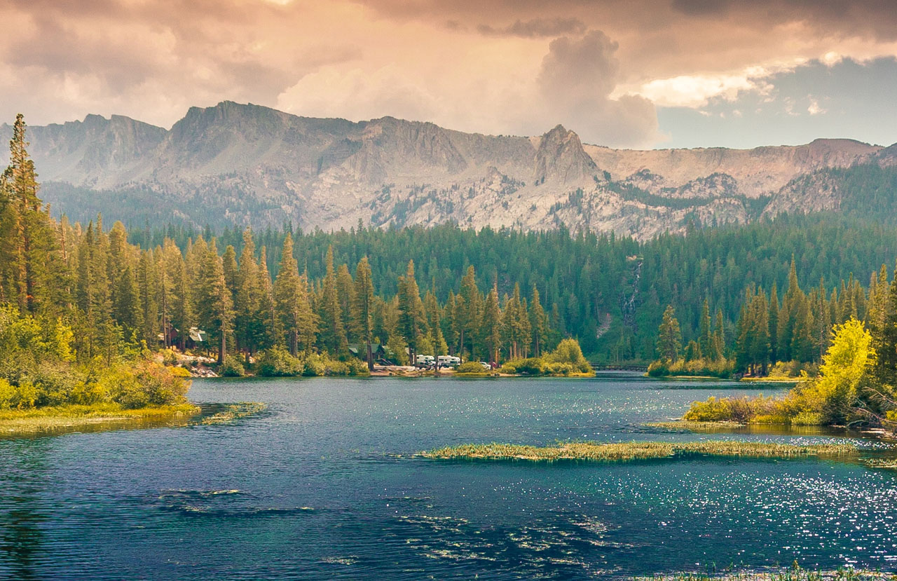 攻击网站在线工具