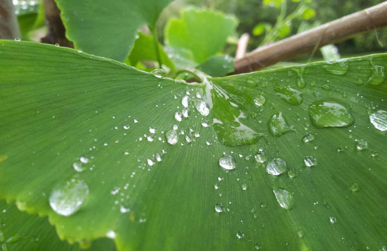 DDOS压力测试网页端